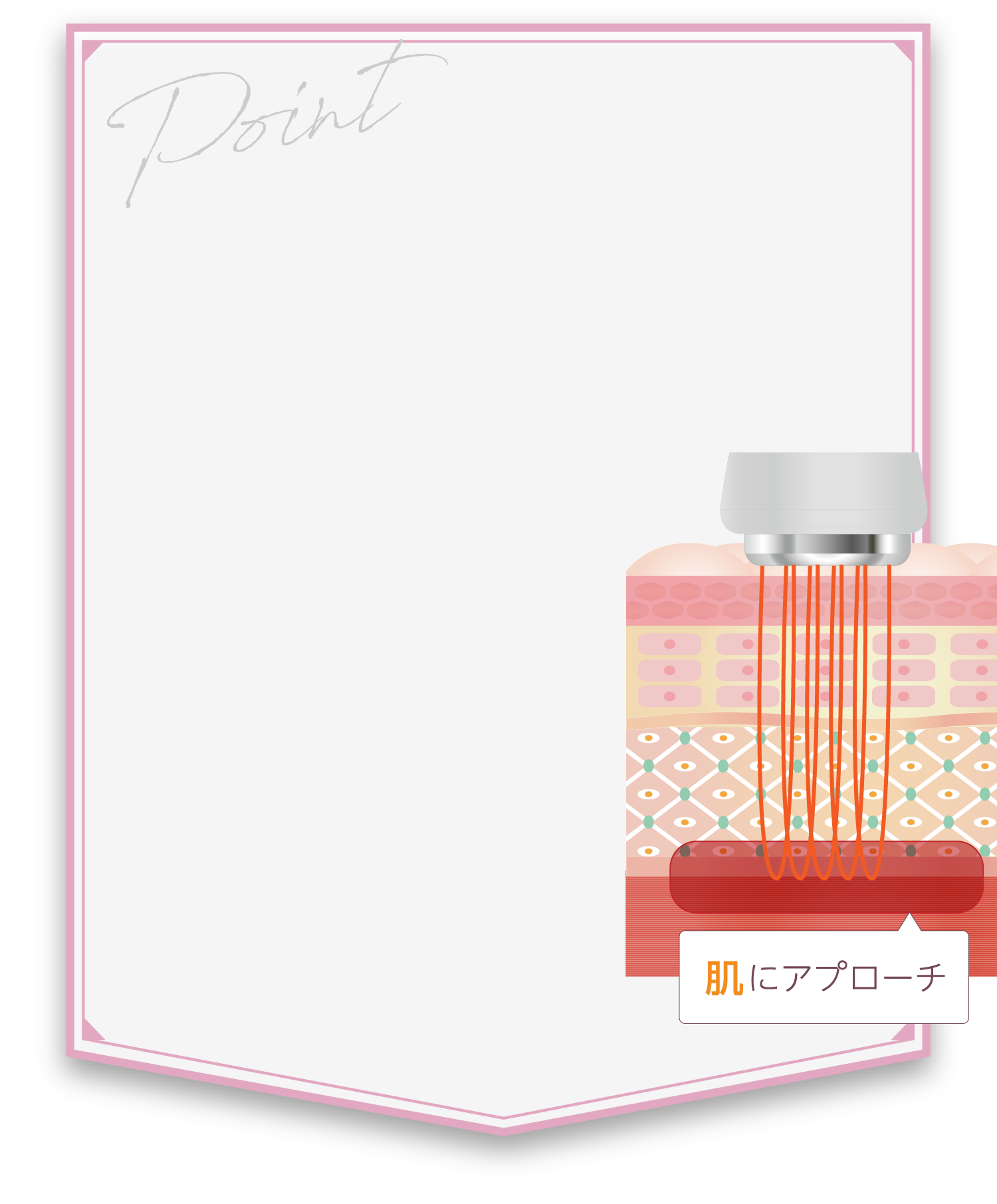 Point 肌にアプローチ