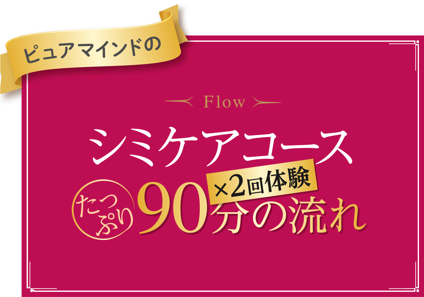 ピュアマインドのFlow シミケアコース たっぷり90分の流れ ×2回体験